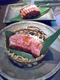 短角牛 短角牛