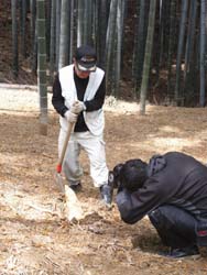 䣷